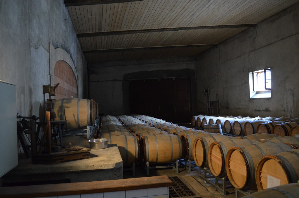 Oak Barrels Containing Wine, later to be Champagne